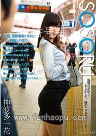 番号SSR-071封面图片主演:神波多一花ed2k磁力链接迅雷下载